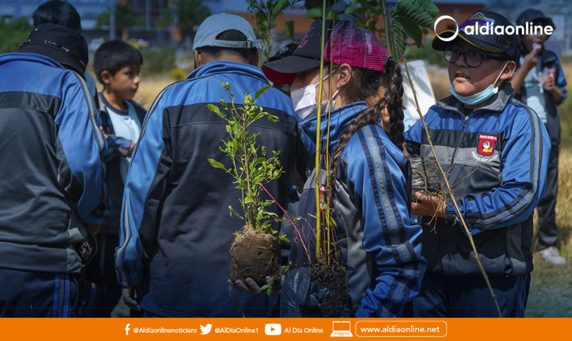 UN MILLÓN DE ÁRBOLES SE SEMBRARON EN LATACUNGA, PROYECTO SIEMBRA VIDA CUMPLIÓ SU OBJETIVO. (VIDEO)