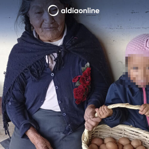 PROYECTO ENFOCADO EN LA DESNUTRICIÓN CRÓNICA, PARTICIPA EN CONCURSO DE BUENAS PRÁCTICAS EJEMPLARES.(VIDEO)