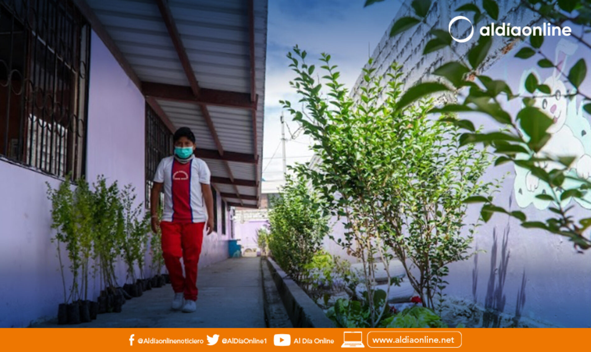 MUNICIPIO INICIA ENTREGA DE PLANTAS A INSTITUCIONES EDUCATIVAS QUE SON PARTE DEL PROYECTO LATACUNGA SIEMBRA VIDA