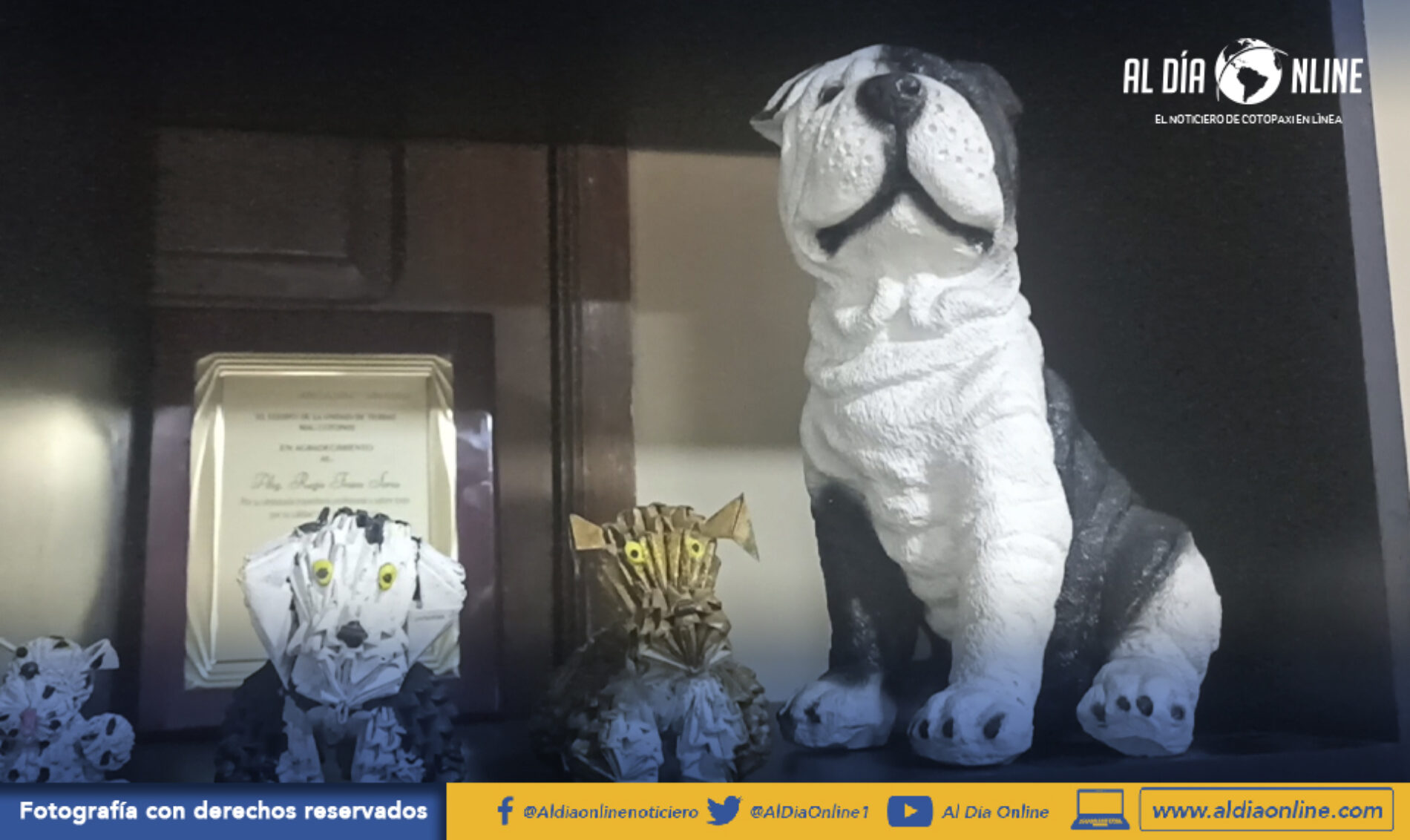 ACCIONES LEGALES EN CONTRA DE CIUDADANO POR MATAR UN PERRO Y MALTRATO A MASCOTAS (VIDEO)