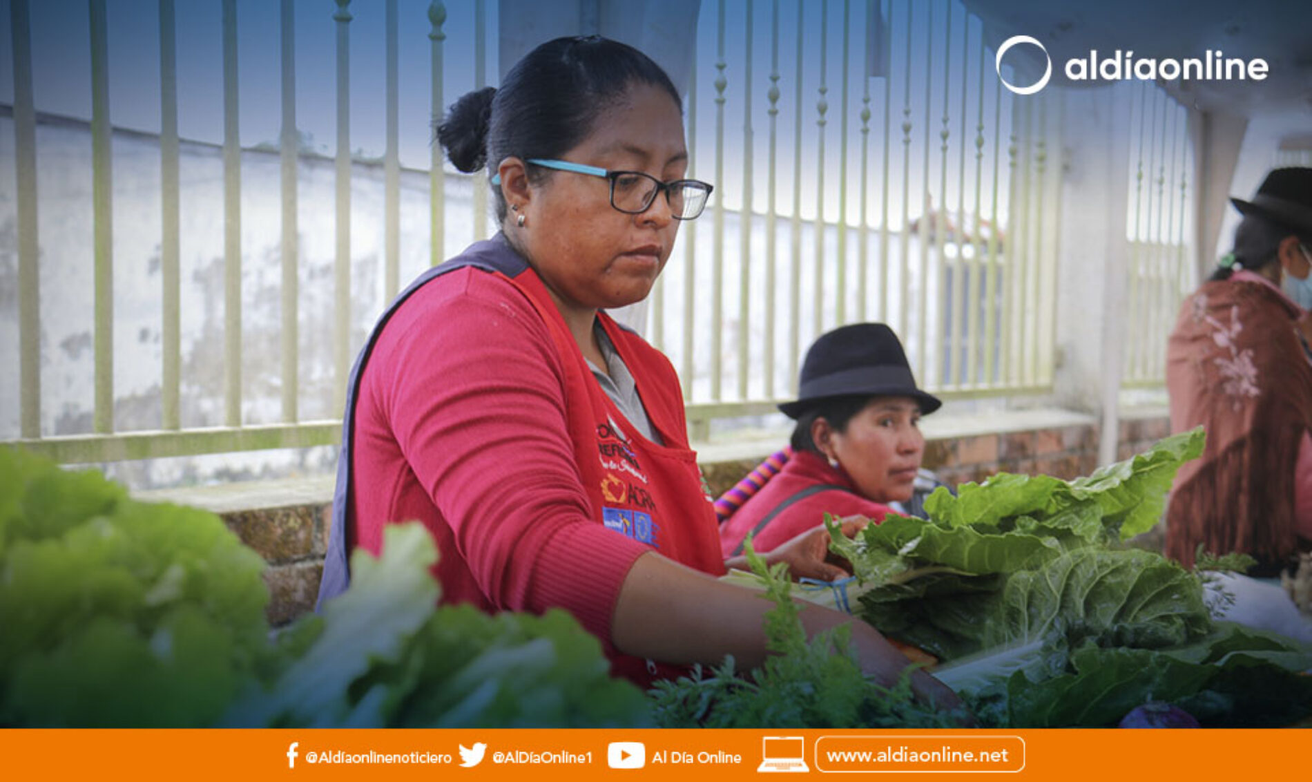 PROYECTOS EN EL SECTOR PRODUCTIVO SE ALISTAN DESDE LA DIRECCIÓN DE FOMENTO PRODUCTIVO DE COTOPAXI. (VIDEO)