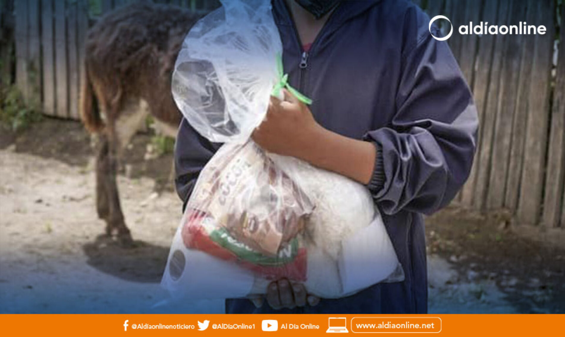 PATRONATO MUNICIPAL DE LATACUNGA RECOLECTA DONACIONES PARA CARAVANA NAVIDEÑA. (VIDEO)