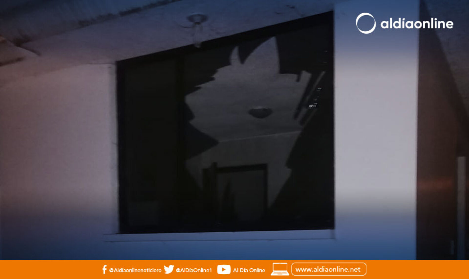 UPC DE BELISARIO QUEVEDO VÍCTIMA DE VANDALISMO POR FALTA DE PERSONAL POLICIAL.(VIDEO)