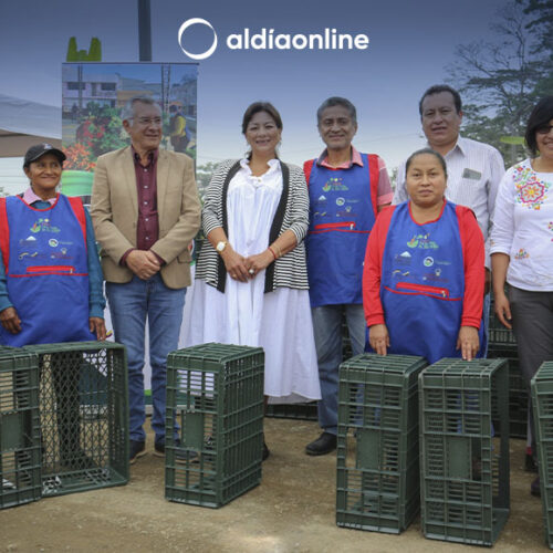 PROYECTOS EN EL SECTOR PRODUCTIVO SE ALISTAN DESDE LA DIRECCIÓN DE FOMENTO PRODUCTIVO DE COTOPAXI. (VIDEO)