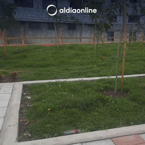 INSEGURIDAD, FALTA DE CONTENEDORES DE BASURA, AQUEJAN A MORADORES DE LA 2 DE MAYO. (VIDEO)