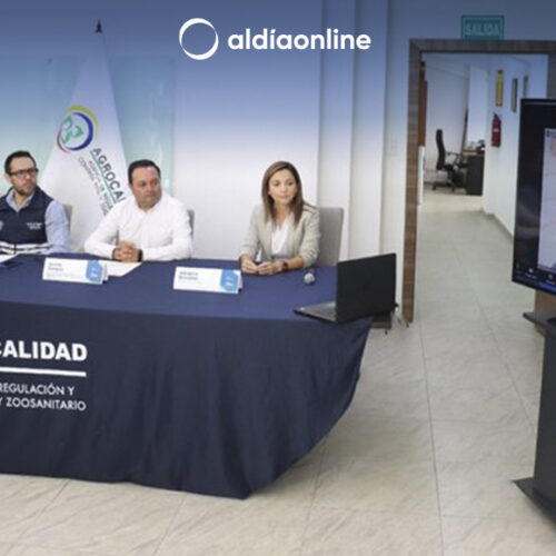 DETECTAN PRIMER CASO DE INFLUENZA H5N1 EN GRANJA AVÍCOLA EN COTOPAXI