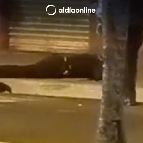 DOS POLICÍAS ASESINADOS Y VARIOS ATENTADOS EN GUAYAQUIL Y ESMERALDAS