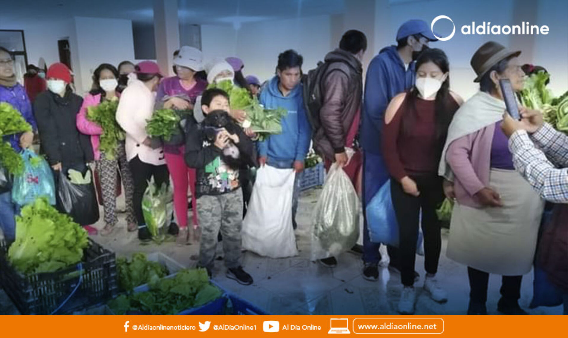 USO DE FERTILIZANTE ORGÁNICO ES IMPULSADO DESDE EL MOVIMIENTO NACIONAL CAMPESINO DE COTOPAXI. (VIDEO)