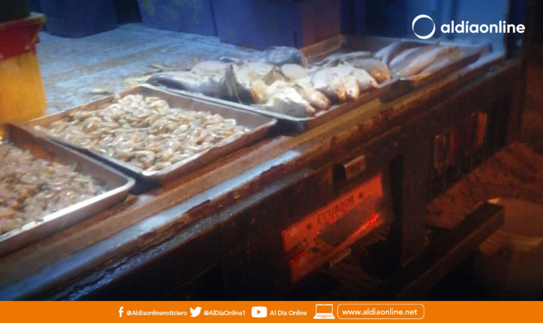 FERIA CLANDESTINA DE MARISCOS EN LA E35, SE MOVIÓ A UN TERRENO BALDÍO SEGÚN COMISARÍA MUNICIPAL. (VIDEO)
