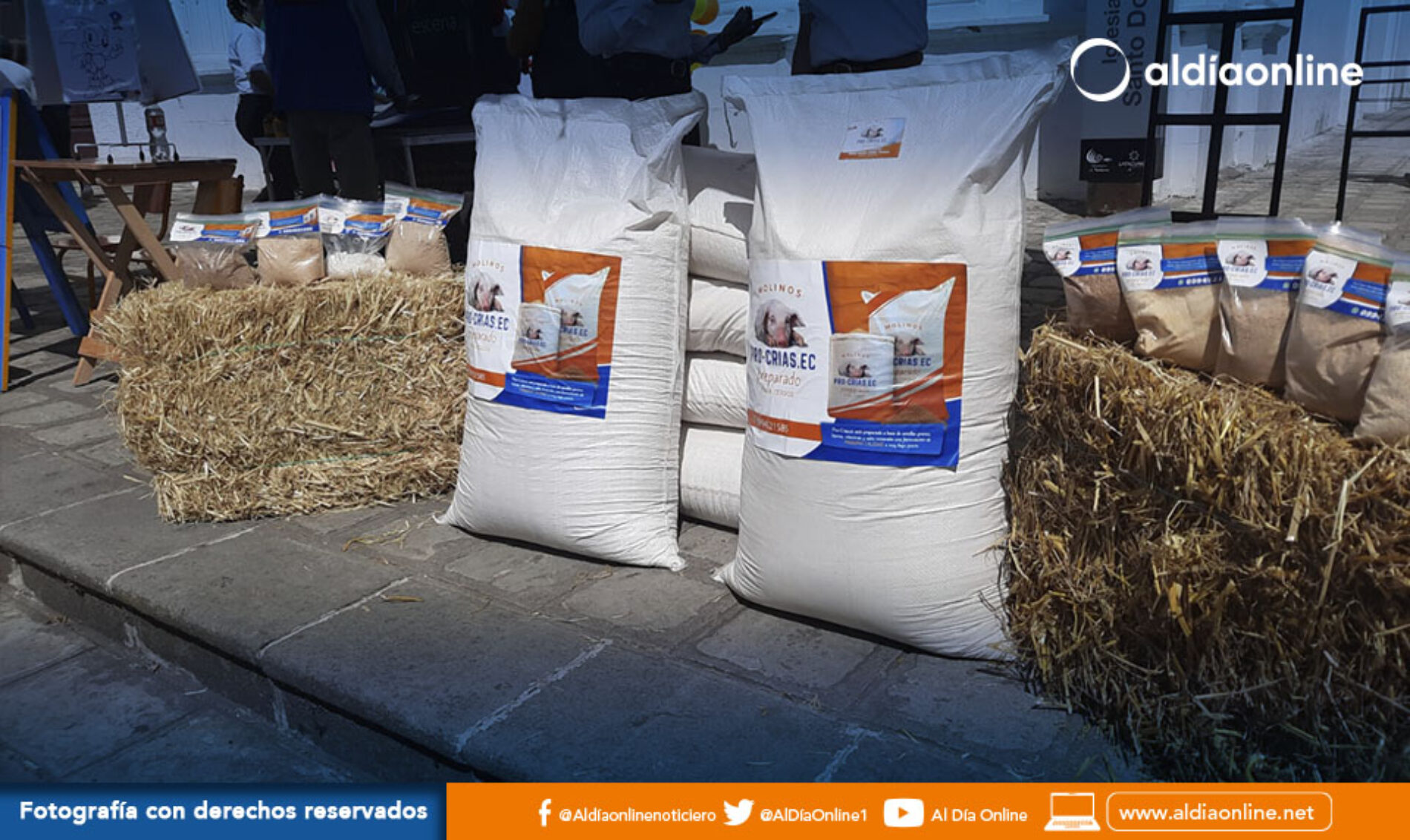 SE DESARROLLÓ LA FERIA TESTING LAB, QUE INVOLUCRÓ A 74 EMPRENDEDORES DEL CANTÓN. (VIDEO)