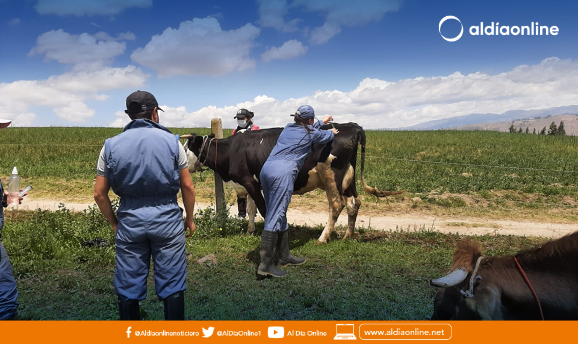 MAG CAPACITA A ESTUDIANTES DE UDLA EN MANEJO DE CAMÉLIDOS, OVINOS Y BOVINOS