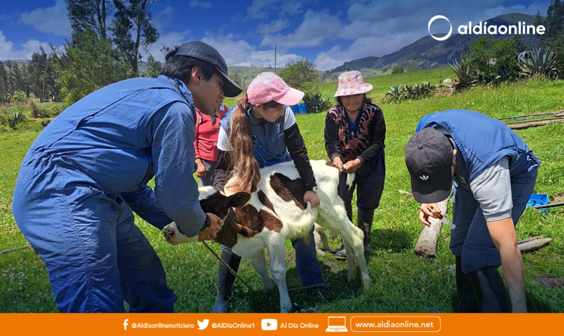 MAG CAPACITA A ESTUDIANTES DE UDLA EN MANEJO DE CAMÉLIDOS, OVINOS Y BOVINOS