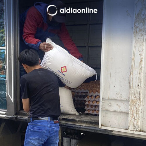 PATRONATO PROVINCIAL DE COTOPAXI, INICIA CON LA FABRICACIÓN DE GALLETAS NAVIDEÑAS.(VIDEO)