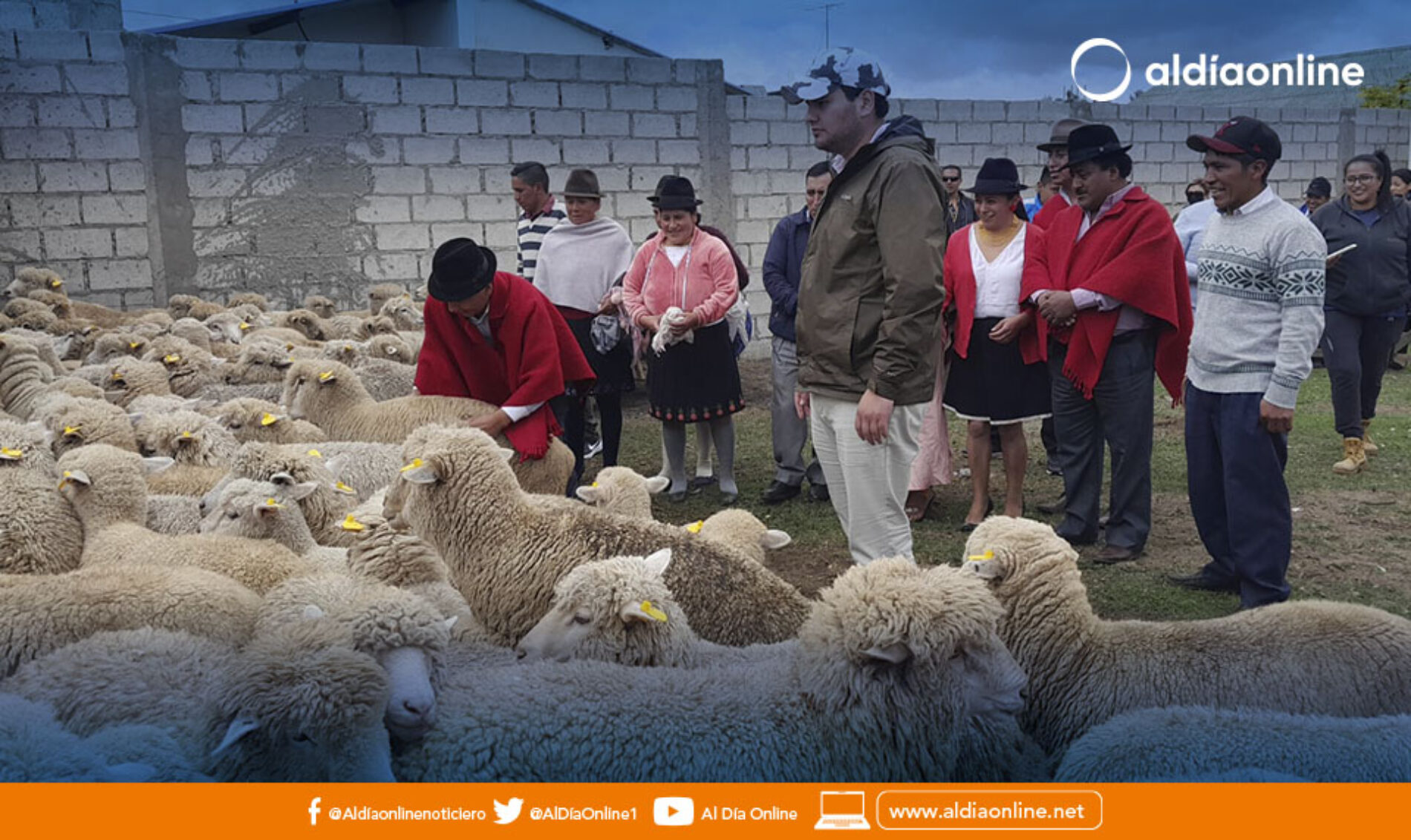 MAG TRABAJA EN LA SELECCIÓN DE ESPACIOS TEMPORALES PARA GANADO EN CASO DE ERUPCIÓN DEL COTOPAXI. (VIDEO)
