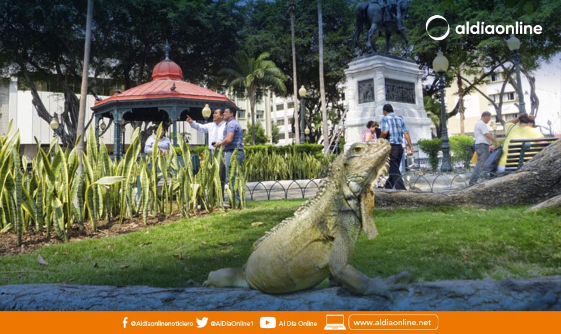 CORTOMETRAJE QUE BUSCA DESTACAR LA GASTRONOMÍA DEL ECUADOR, SERÁ PRESENTADO EN LATACUNGA. (VIDEO)