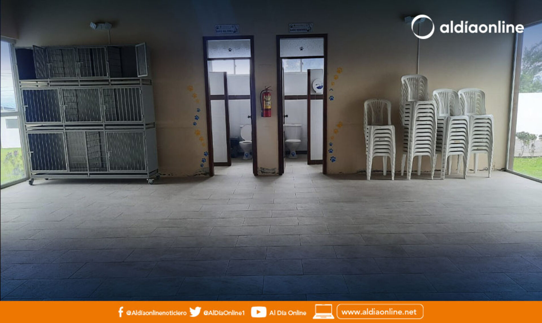 ALBERGUE CANINO DE LATACUNGA PODRÍA ABRIR LA ATENCIÓN AL PÚBLICO EN LOS SIGUIENTES MESES. (VIDEO)