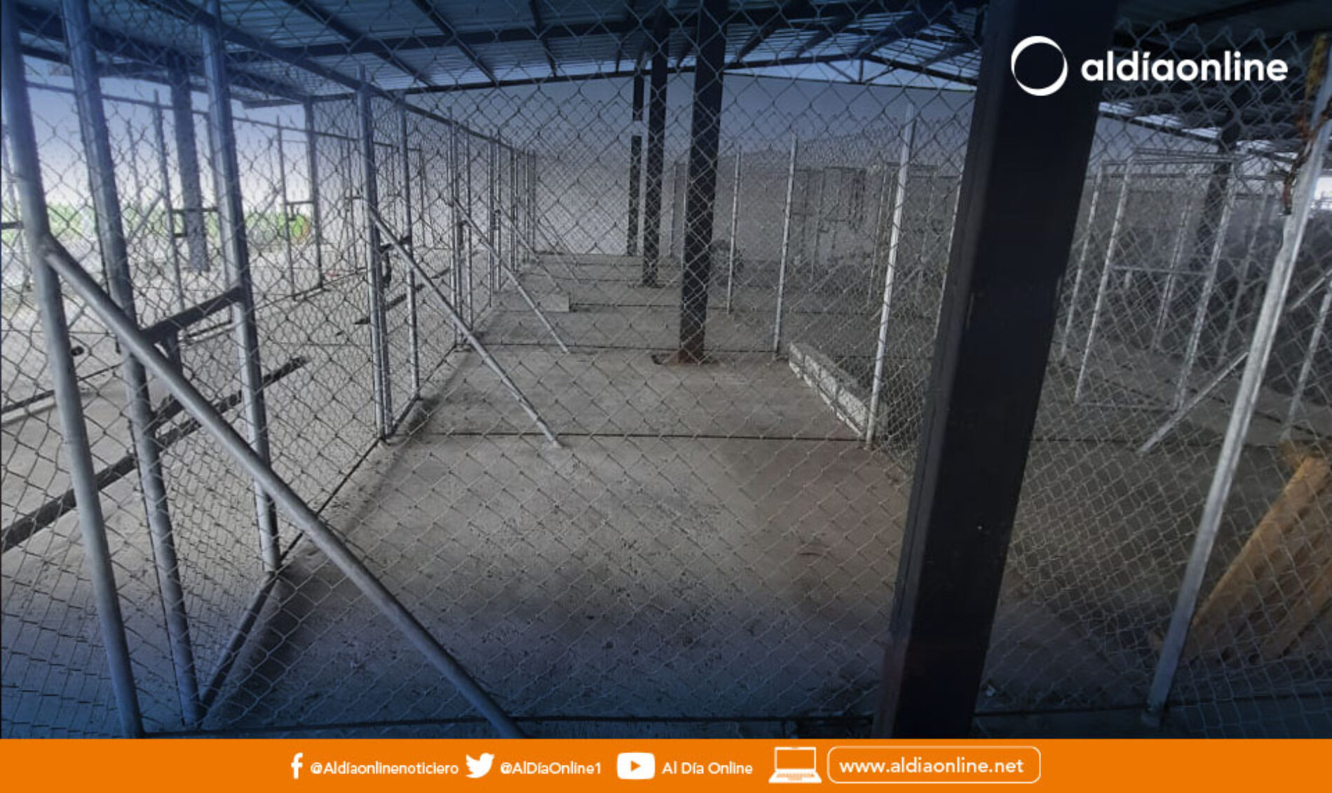 ALBERGUE CANINO DE LATACUNGA PODRÍA ABRIR LA ATENCIÓN AL PÚBLICO EN LOS SIGUIENTES MESES. (VIDEO)