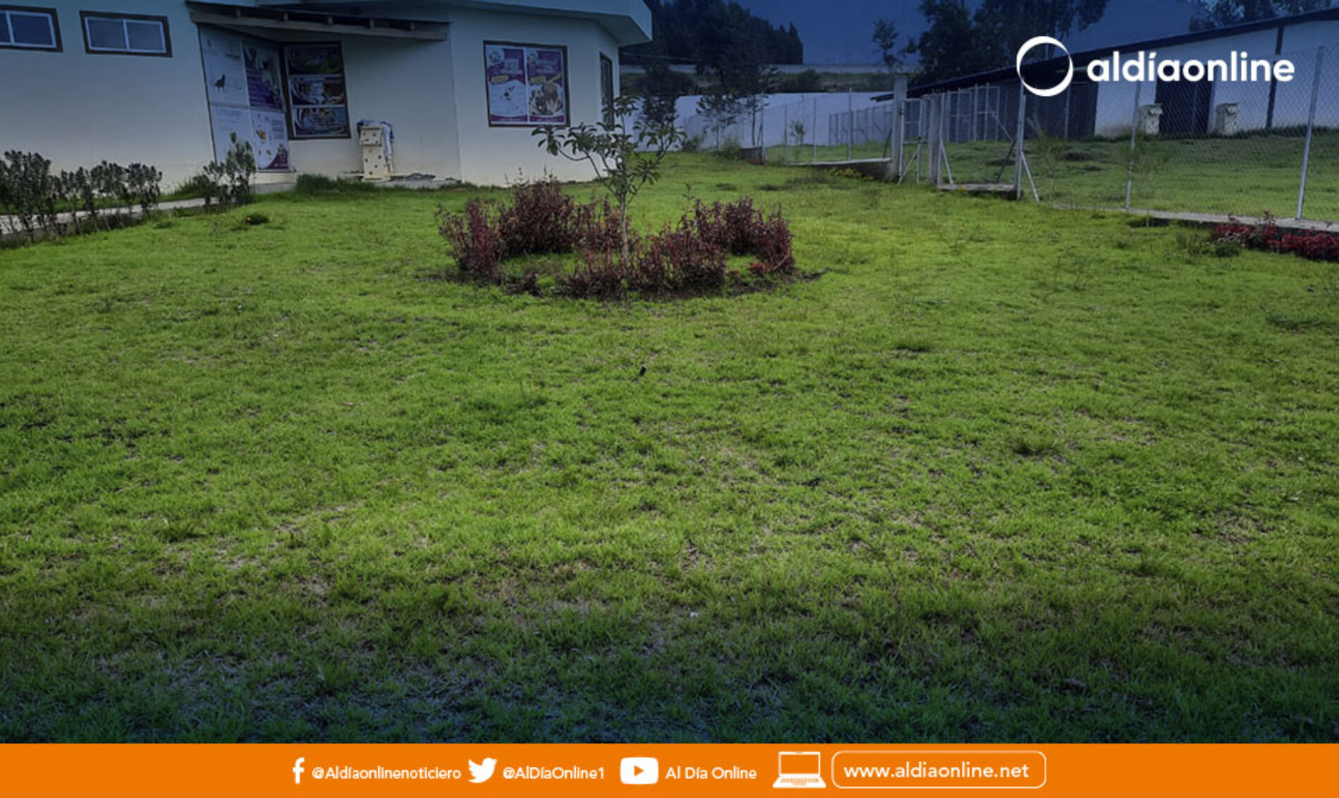 ALBERGUE CANINO DE LATACUNGA PODRÍA ABRIR LA ATENCIÓN AL PÚBLICO EN LOS SIGUIENTES MESES. (VIDEO)