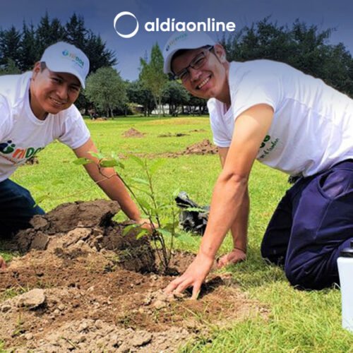 PRODUCCIÓN Y MANEJO FORESTAL,  NUEVA CARRERA  DEL INSTITUTO SUPERIOR TECNOLÓGICO COTOPAXI