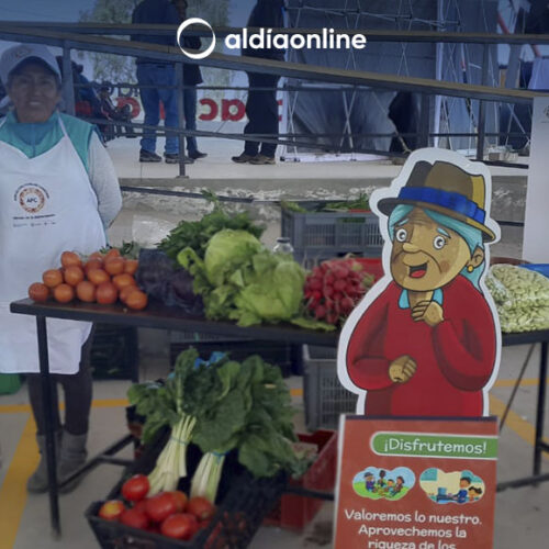 FERIA AGROPECUARIA SE LLEVARÁ A CABO ESTE 27 DE ENERO EN EL SECTOR DE LA ESTACIÓN. (VIDEO)