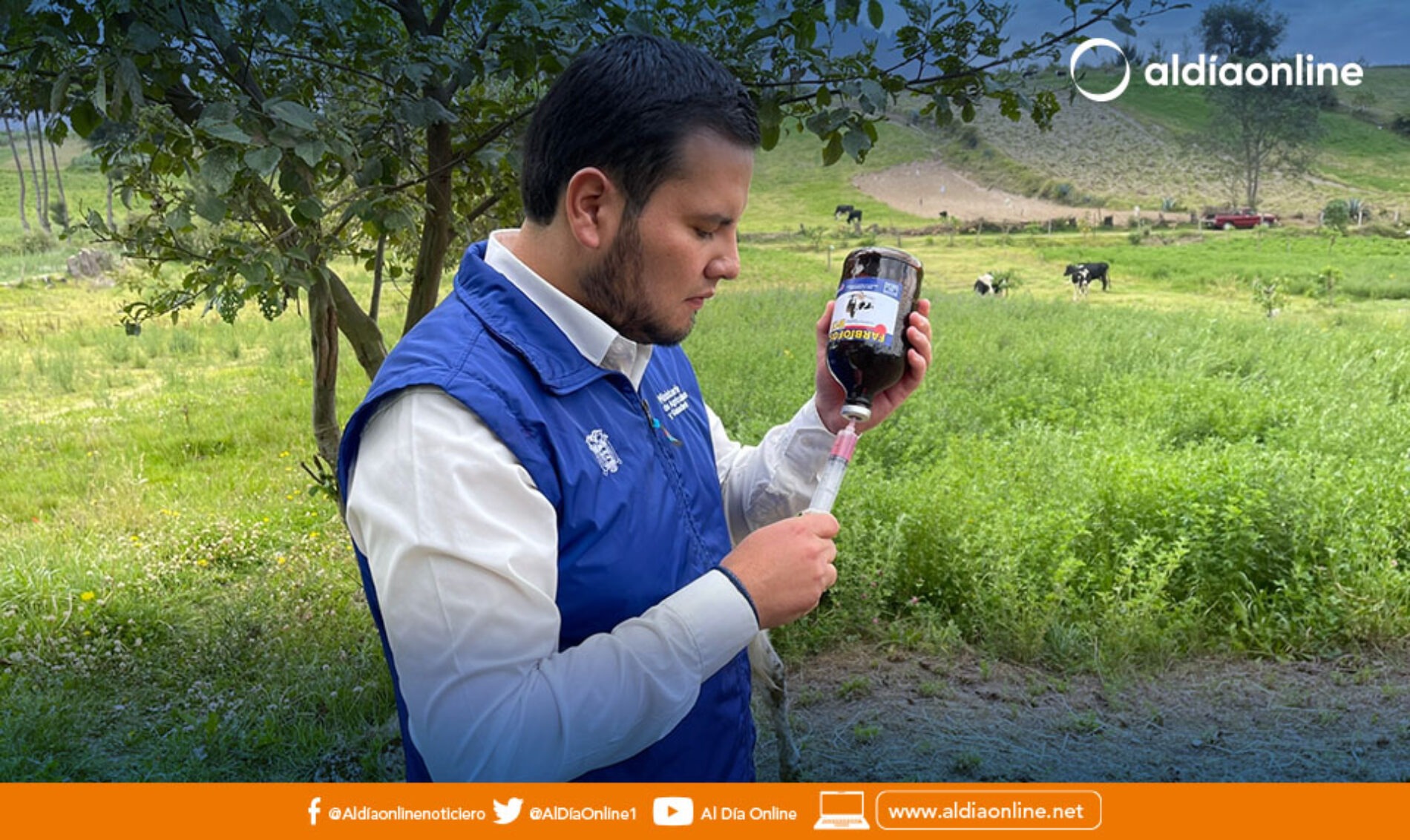 MAG REALIZA CAMPAÑAS DE VITAMINIZACIÓN, DESPARASITACIÓN Y CHEQUEO CLÍNICO EN BOVINOS