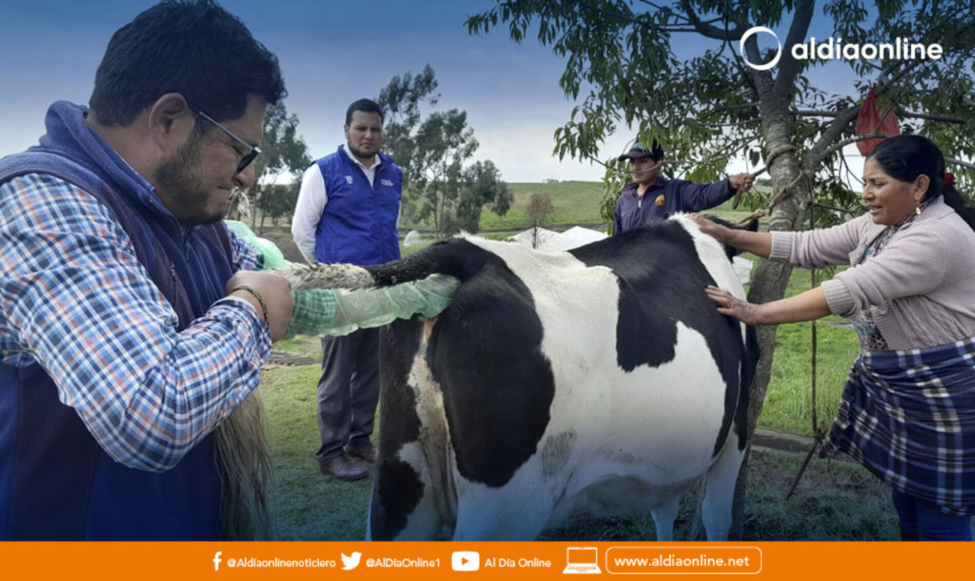 MAG REALIZA CAMPAÑAS DE VITAMINIZACIÓN, DESPARASITACIÓN Y CHEQUEO CLÍNICO EN BOVINOS