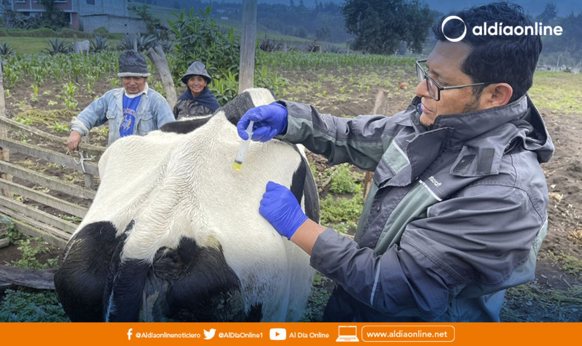 MAG REALIZA CAMPAÑAS DE VITAMINIZACIÓN, DESPARASITACIÓN Y CHEQUEO CLÍNICO EN BOVINOS