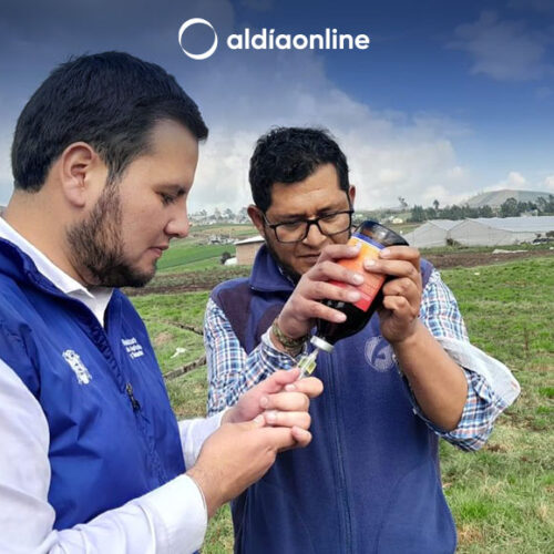 MAG REALIZA CAMPAÑAS DE VITAMINIZACIÓN, DESPARASITACIÓN Y CHEQUEO CLÍNICO EN BOVINOS