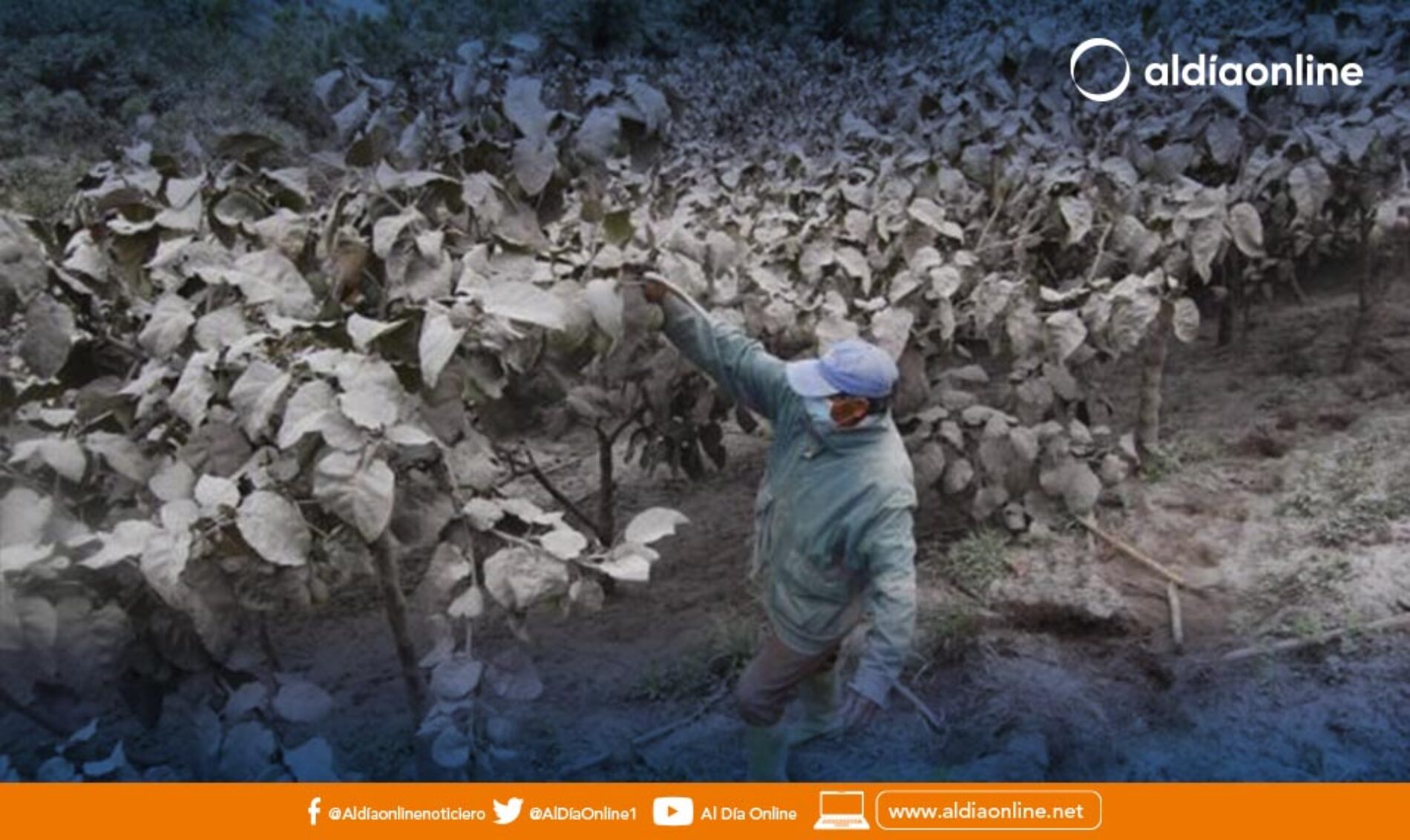 CAÍDA DE CENIZA VOLCÁNICA PODRÍA OCASIONAR AFECTACIONES RESPIRATORIAS. (VIDEO)