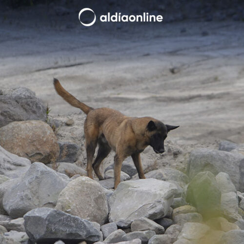 DEMOSTRACIÓN DEL MÉTODO ARCÓN SE DESARROLLO POR PARTE DEL CUERPO DE BOMBEROS LATACUNGA. (VIDEO)