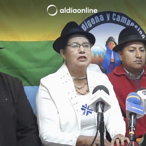 LOURDES TIBÁN LLAMA A GUARDAR BANDERAS POLÍTICAS Y TRABAJAR EN CONJUNTO POR COTOPAXI.(VIDEO)