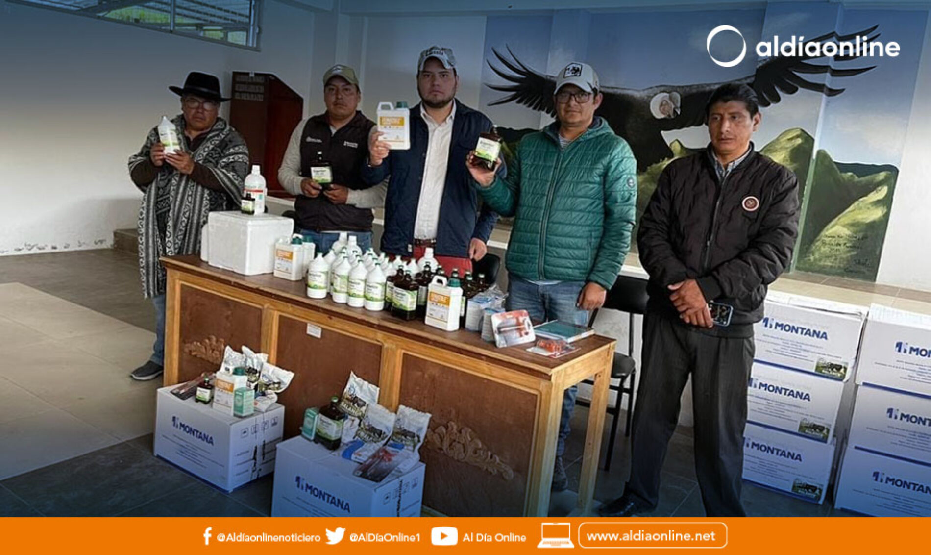 MAG ENTREGA INSUMOS VETERINARIOS PARA ATENDER A GANADO DE ANGAMARCA