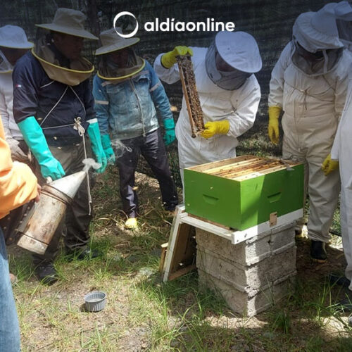 MAG COTOPAXI REALIZA CAPACITACIÓN PARA FORTALECER CONOCIMIENTOS EN APICULTURA