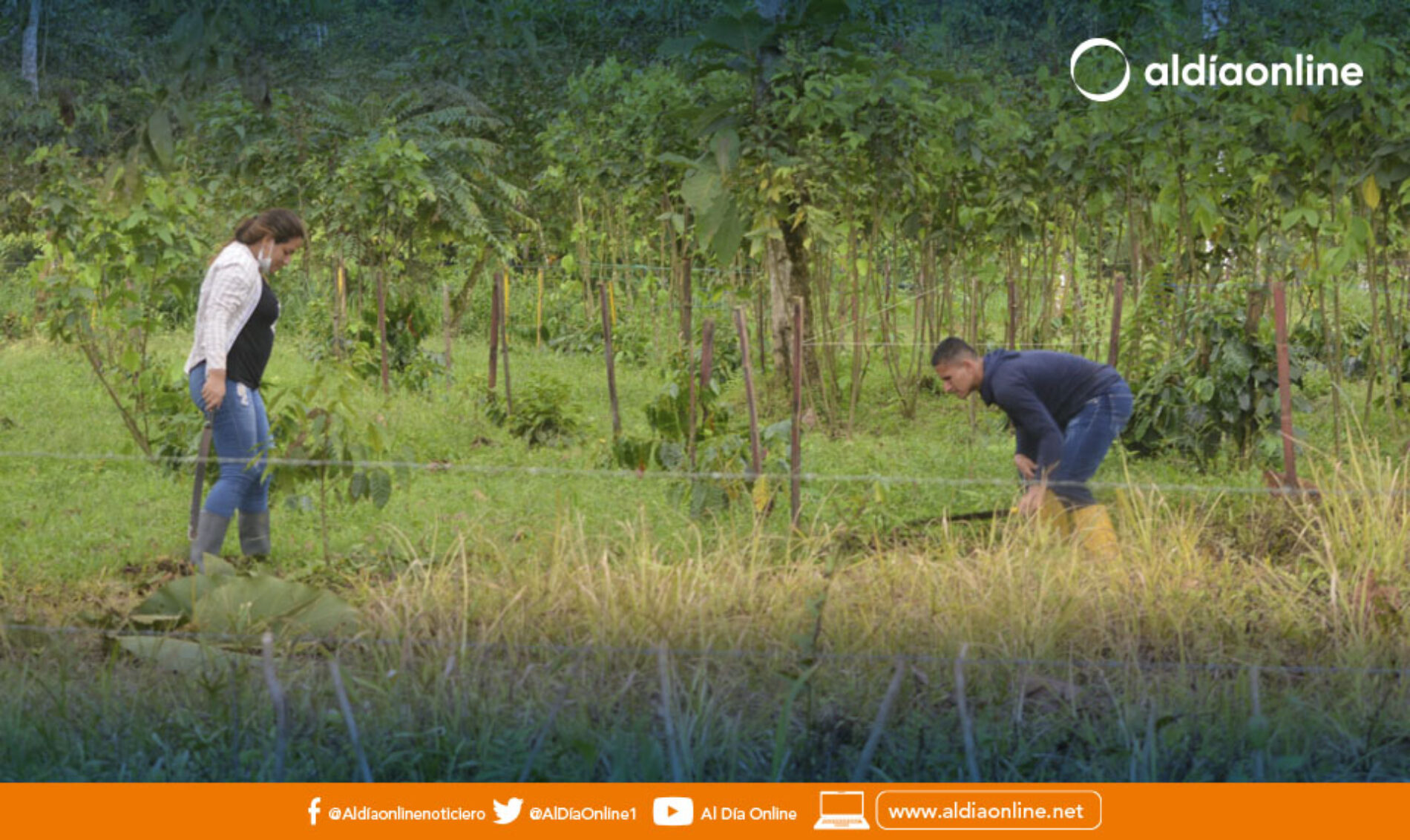 UNIVERSITARIOS  DE LA UTC GANAN FONDOS CONCURSABLES PARA INVESTIGACIÓN AGRÍCOLA