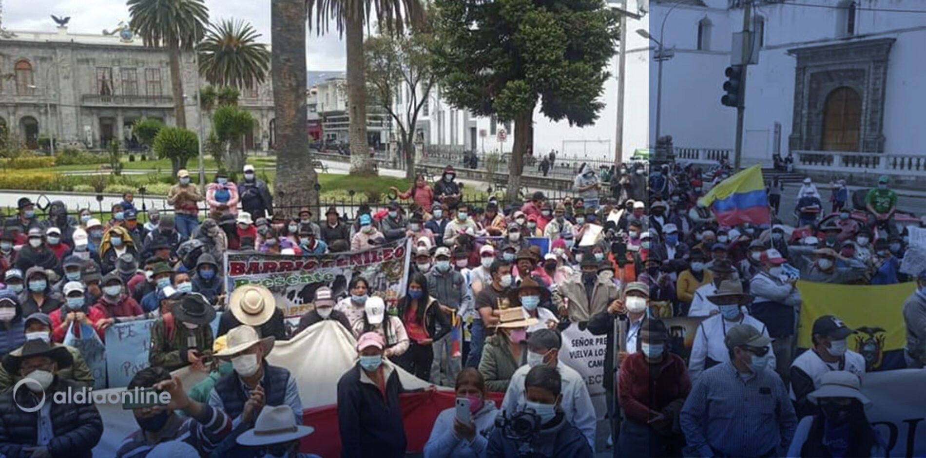 ORGANIZACIÓN FE POR LA LECHE CONVOCA A ASAMBLEA PARA ESTE 3 DE MARZO. (VIDEO)