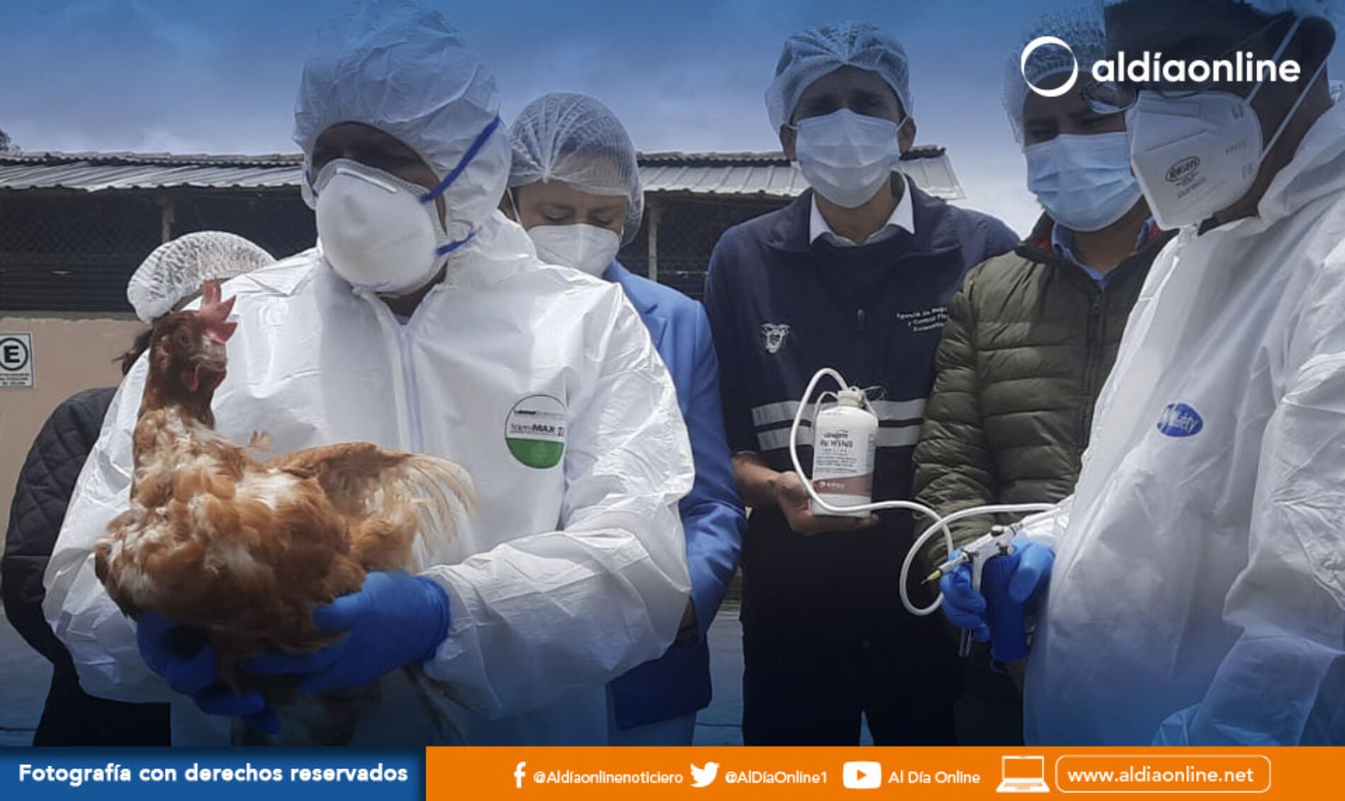 EN COTOPAXI INICIÓ EL PROCESO DE VACUNACIÓN CONTRA LA INFLUENZA AVIAR. (VIDEO)