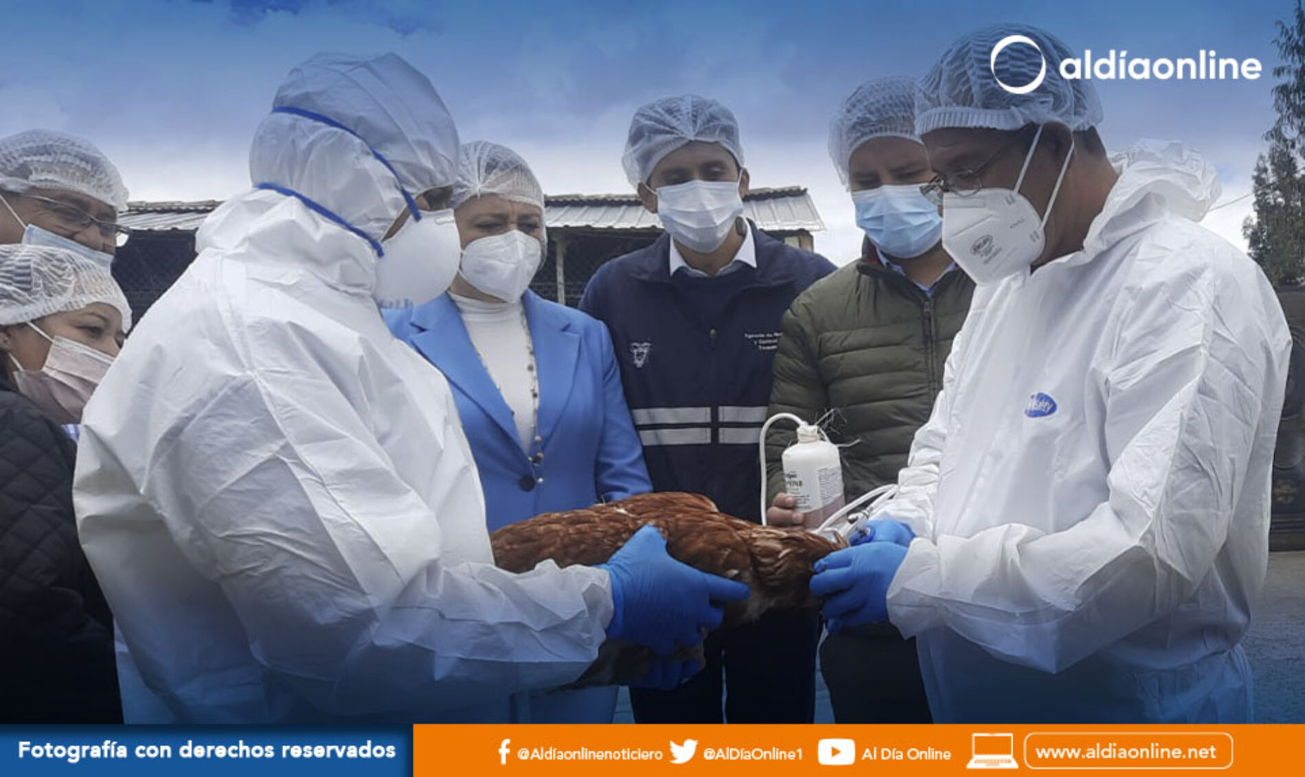 EN COTOPAXI INICIÓ EL PROCESO DE VACUNACIÓN CONTRA LA INFLUENZA AVIAR. (VIDEO)