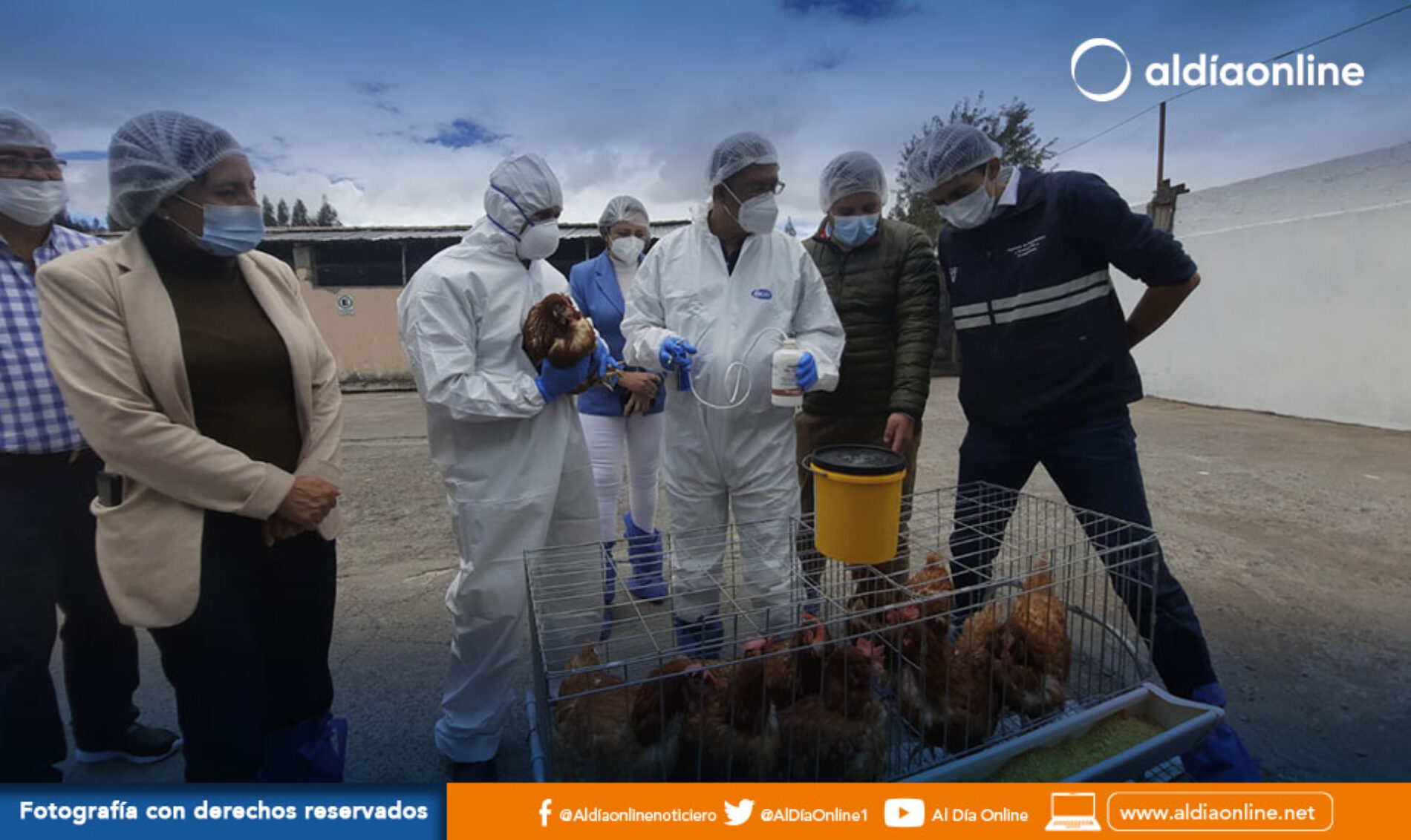 EN COTOPAXI INICIÓ EL PROCESO DE VACUNACIÓN CONTRA LA INFLUENZA AVIAR. (VIDEO)