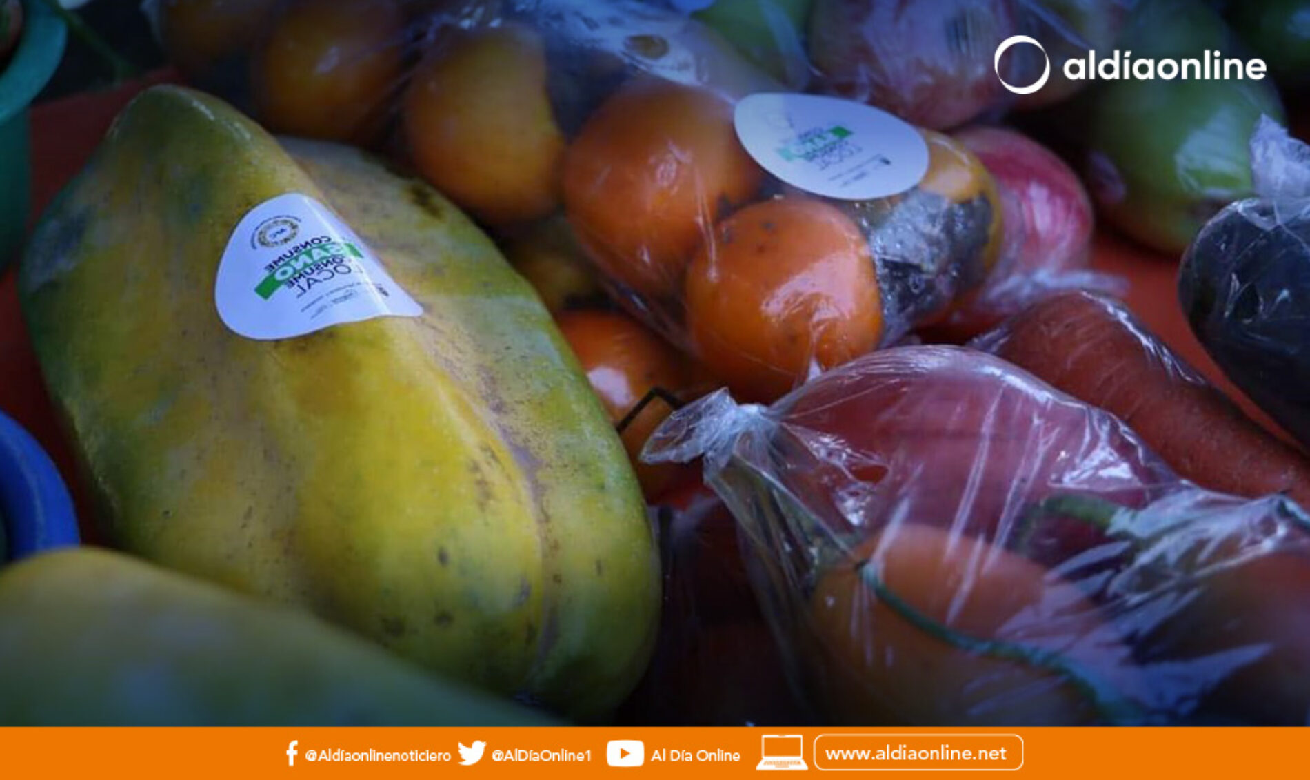  AGRICULTORES DE COTOPAXI RECIBEN BENEFICIOS DEL MAG  PARA MEJORAR LA PRODUCTIVIDAD DE SUS CULTIVOS