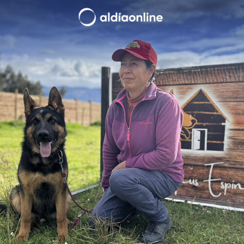 ESTE SÁBADO, CAMINA JUNTO A TU MASCOTA EN SALCEDO