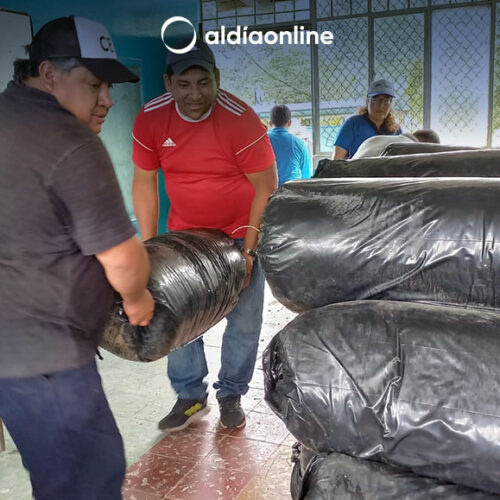 MAG ENTREGA ENSILAJE Y ASISTENCIA TÉCNICA A PRODUCTORES AFECTADOS POR LA LLUVIA EN COTOPAXI