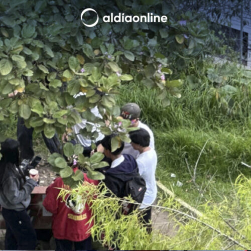 EN GUÁPULO (QUITO), LOS MIRADORES PASARON A SER CANTINAS AL AIRE LIBRE
