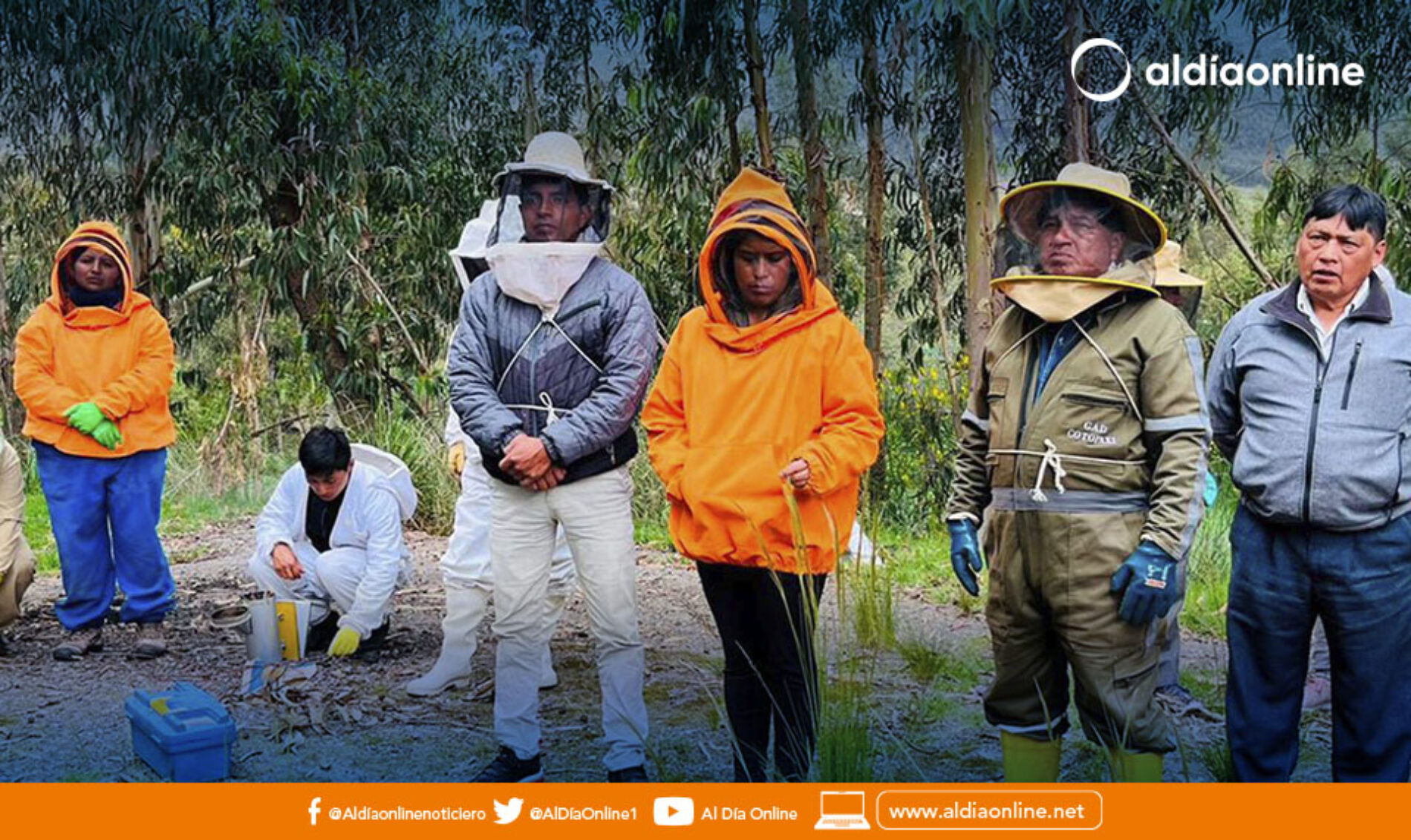 50 APICULTORES FUERON PARTICIPES DE TALLER DEDICADO A ESTE SECTOR POR PARTE DE LA PREFECTURA DE COTOPAXI. (VIDEO)