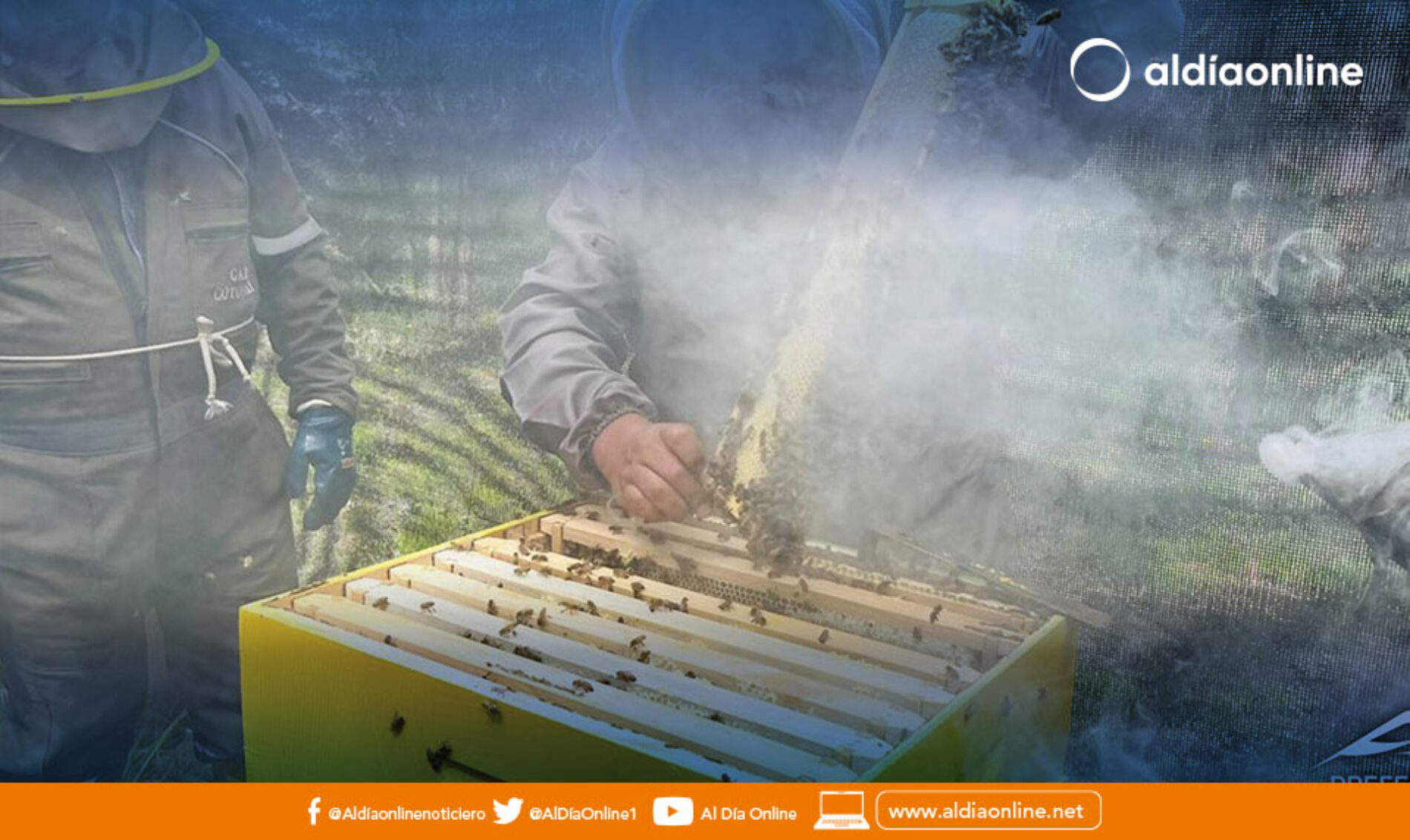 50 APICULTORES FUERON PARTICIPES DE TALLER DEDICADO A ESTE SECTOR POR PARTE DE LA PREFECTURA DE COTOPAXI. (VIDEO)