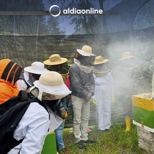50 APICULTORES FUERON PARTICIPES DE TALLER DEDICADO A ESTE SECTOR POR PARTE DE LA PREFECTURA DE COTOPAXI. (VIDEO)