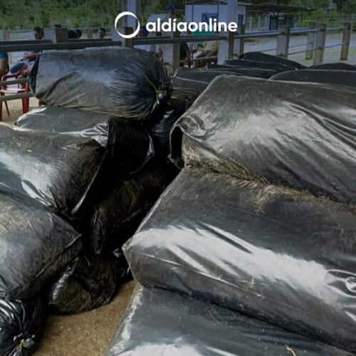 MAG COTOPAXI ENTREGA 4.5 TONELADAS DE SUPLEMENTO ALIMENTICIO PARA GANADO EN LA MANÁ