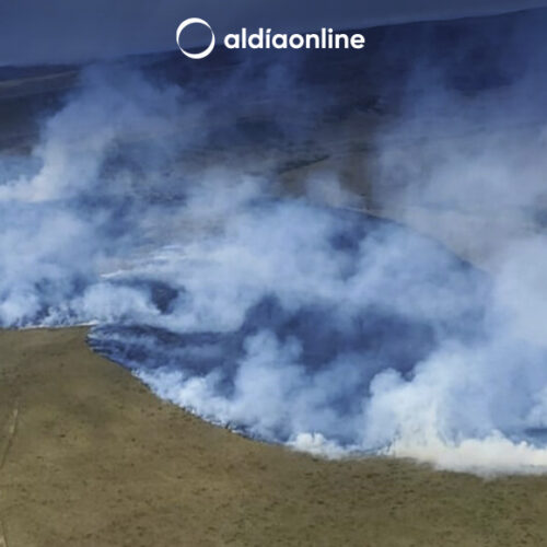 CUERPO DE BOMBEROS DE QUITO CONTROLAN INCENDIO EN LA RESERVA ECOLÓGICA ANTISANA