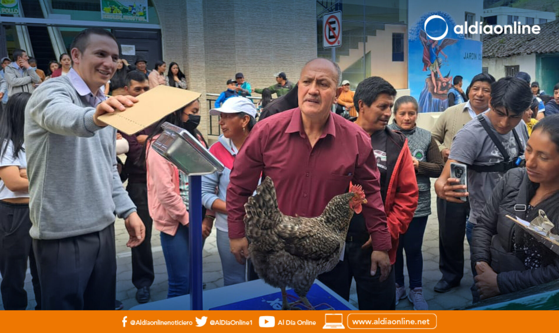 EN CONCURSO ORIGINAL, EL POLLO MAS PESADO Y MÁS ORIGINAL, PREMIO LA COAC SAN MIGUEL DE SIGCHOS