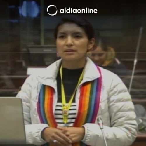 PILAR LLANOS REEMPLAZA A PÉTER CALO TRAS RENUNCIA A CARGO DE ASAMBLEÍSTA POR COTOPAXI