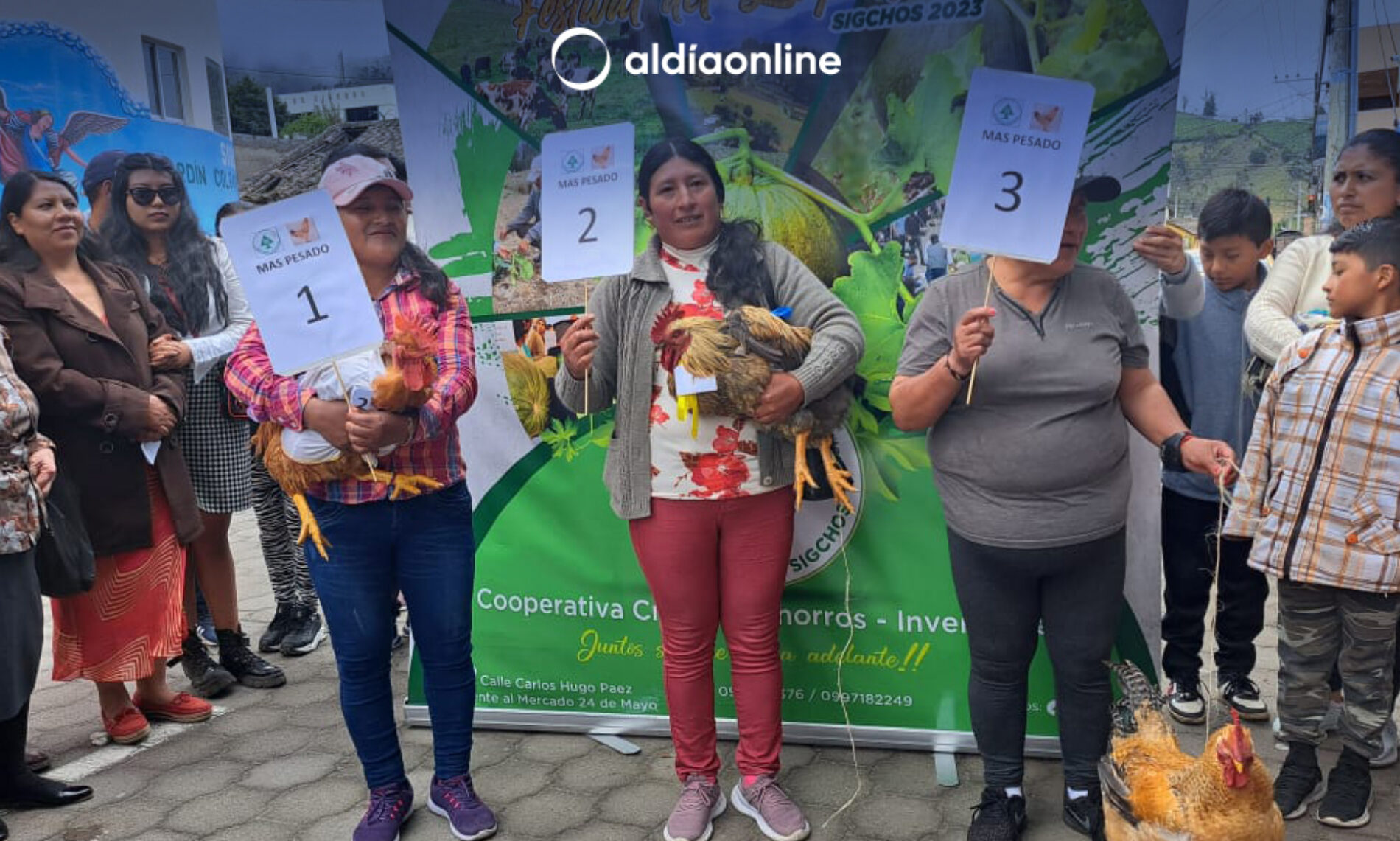 EN CONCURSO ORIGINAL, EL POLLO MÁS PESADO Y MÁS ORIGINAL, PREMIO LA COAC SAN MIGUEL DE SIGCHOS